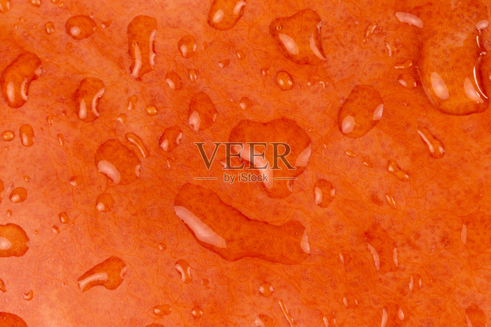 近景抽象纹理背景的wade橙色南瓜照片摄影图片