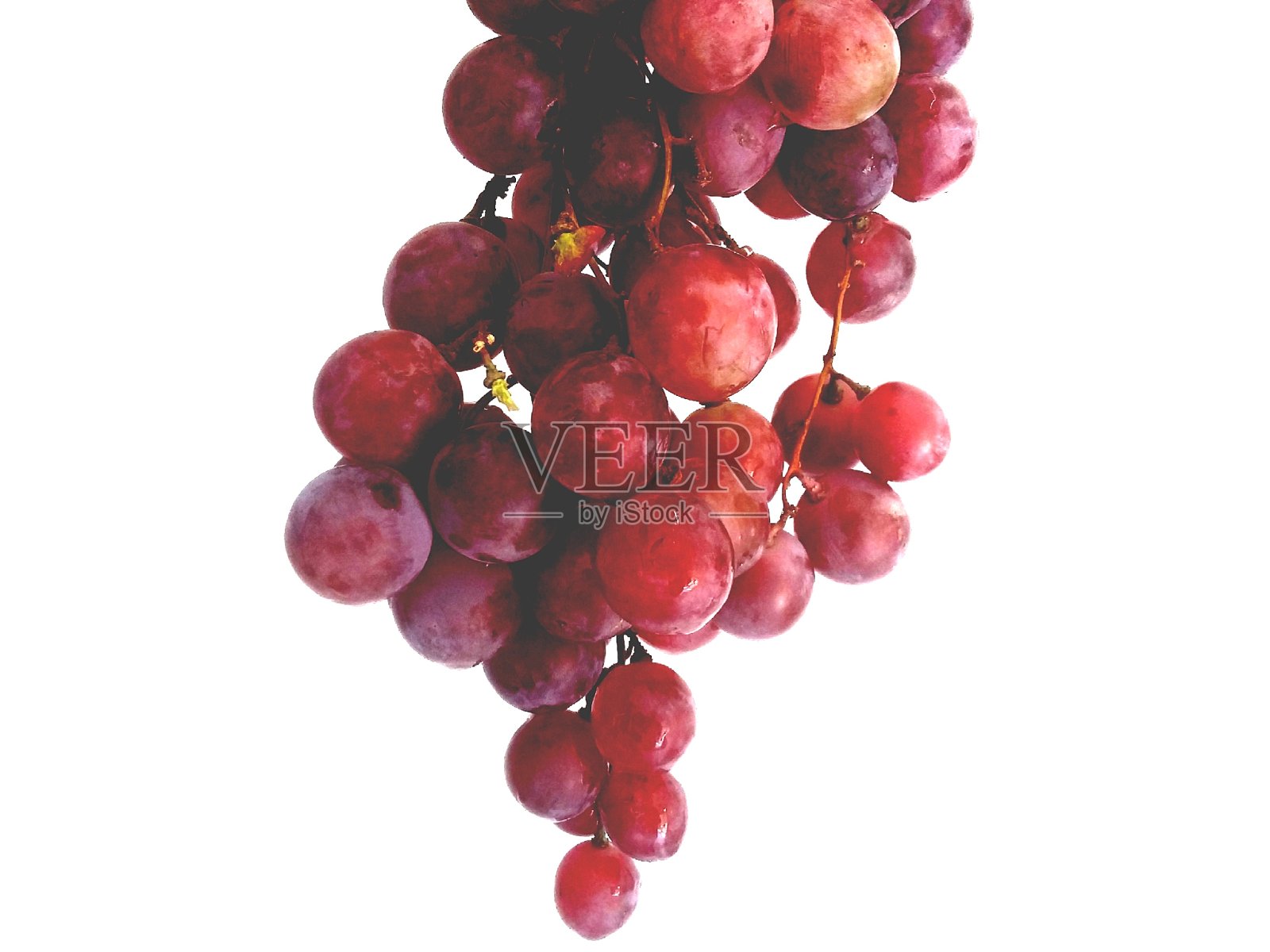 成熟的红葡萄，叶孤立。照片摄影图片