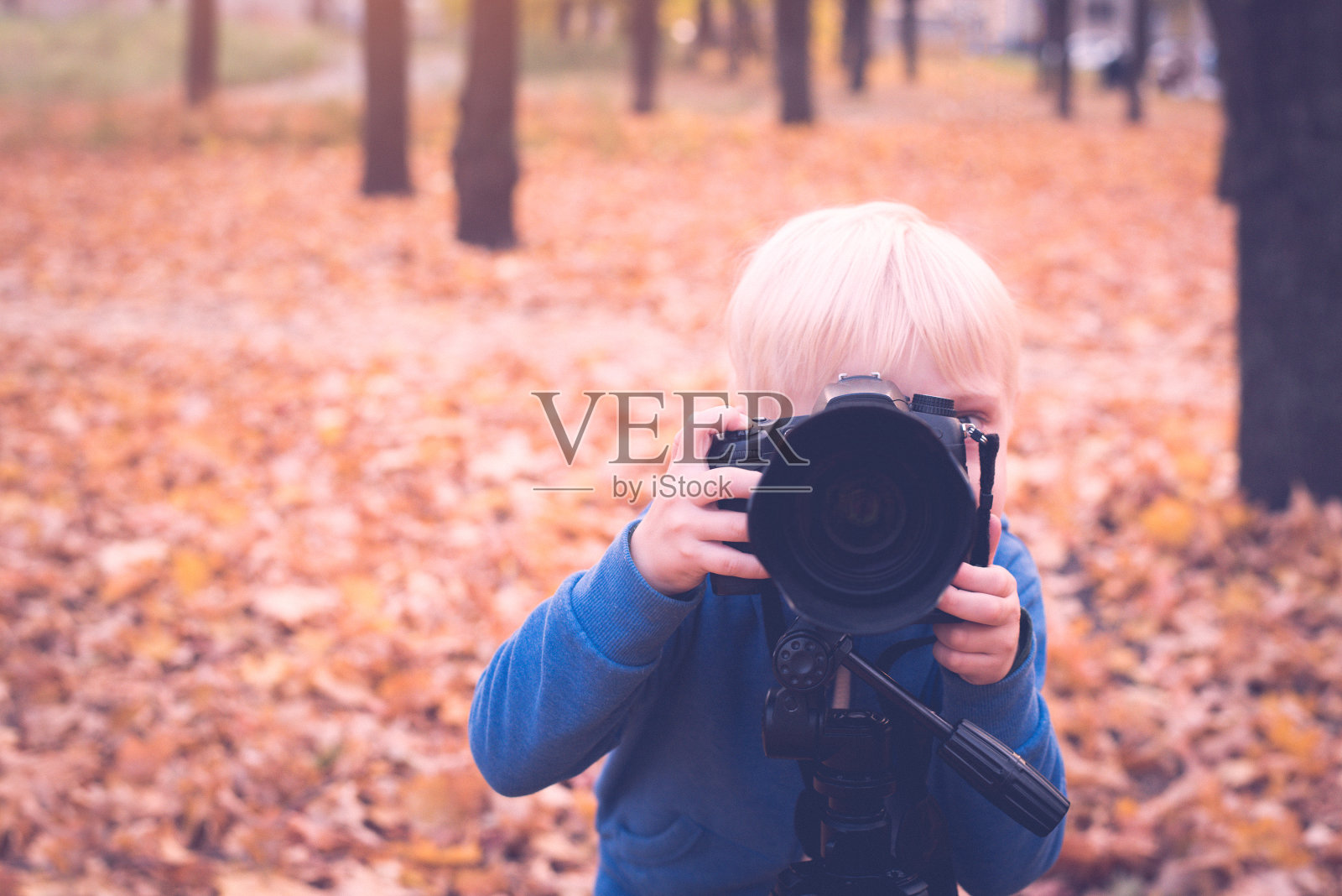 一个金发小男孩的肖像用一个大的单反相机。在秋季公园拍照照片摄影图片