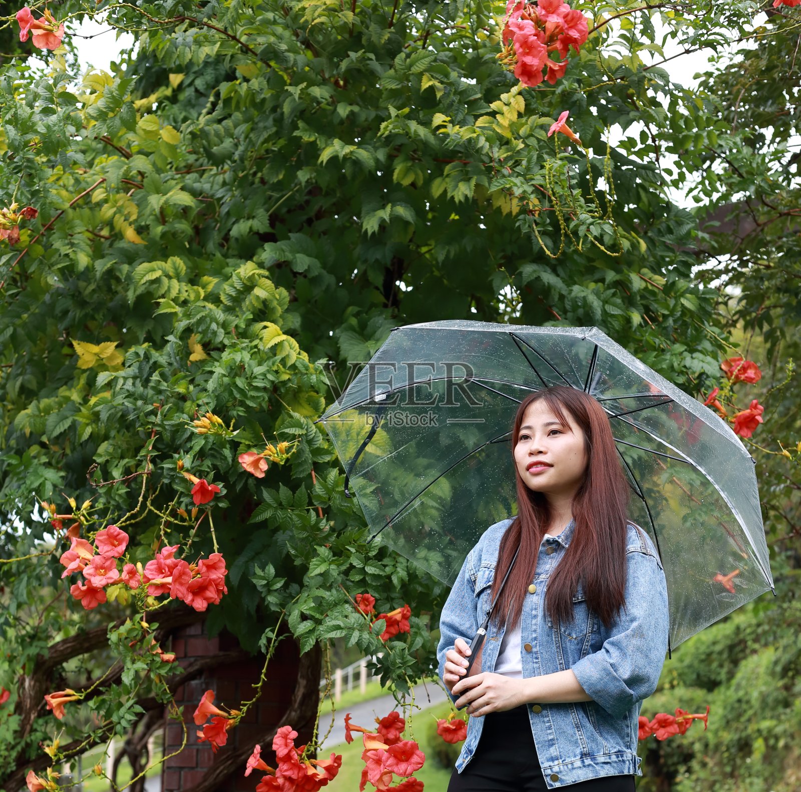 年轻女子在日本植物园的肖像照片摄影图片