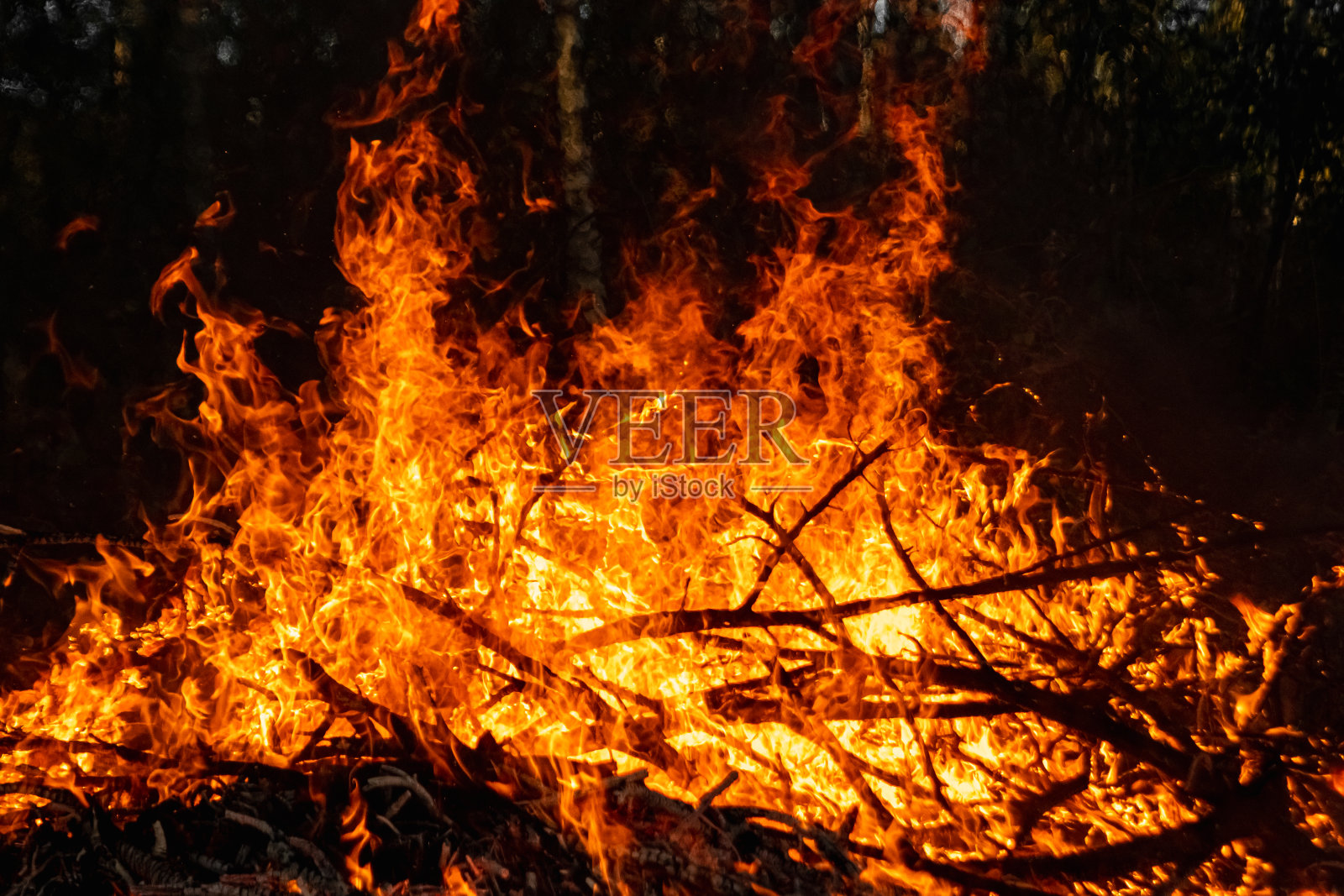 森林火灾，自然界的火灾，破坏树木植物。照片摄影图片