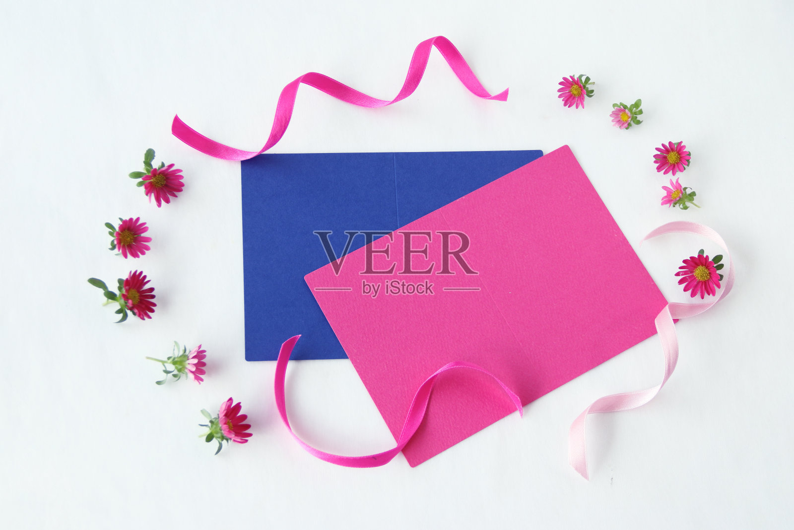 紫菀架照片摄影图片