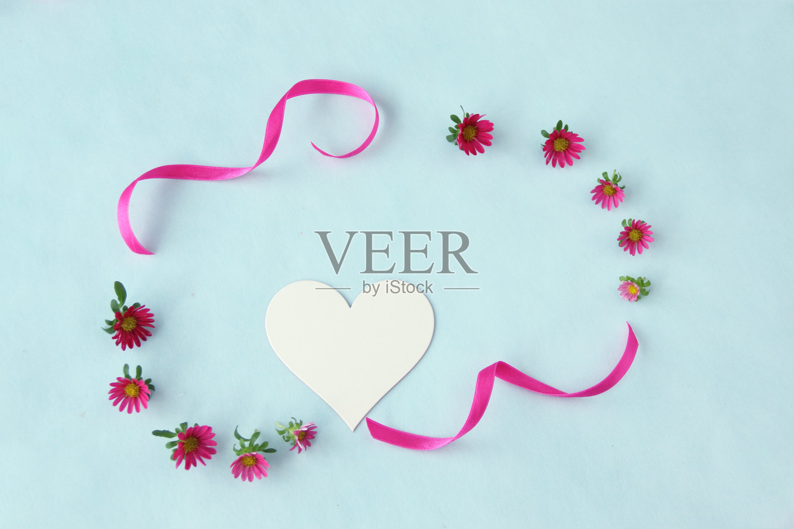 紫菀与心照片摄影图片