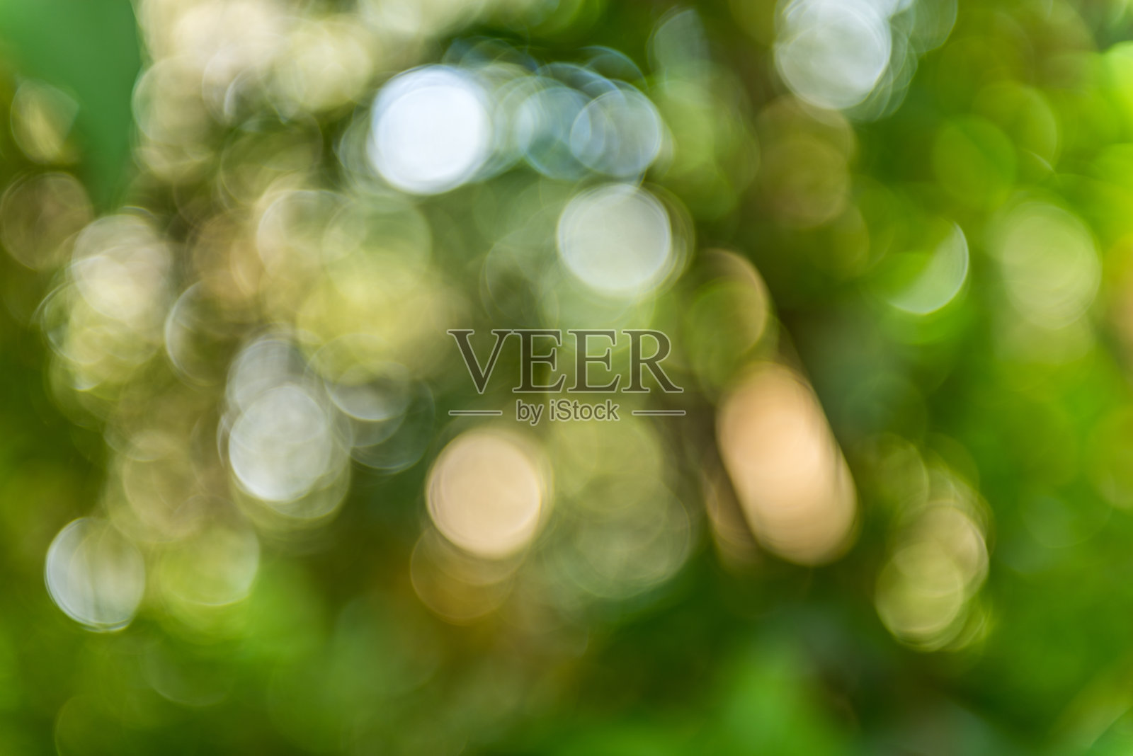 绿色的风照片摄影图片