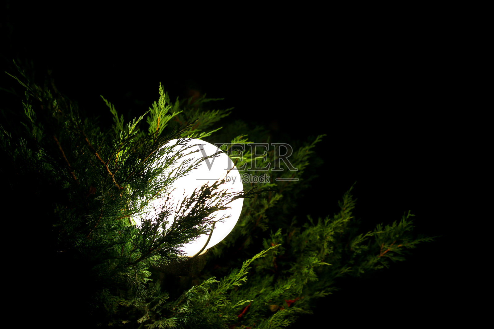 花园里的圆形街灯照片摄影图片