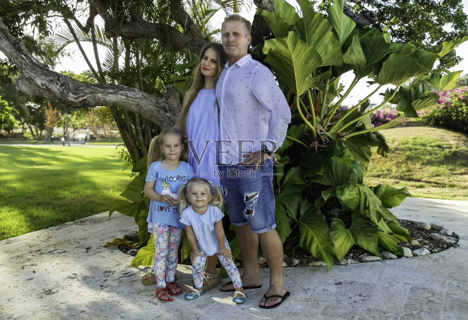 幸福的四口之家:妈妈、爸爸和两个女儿在一棵大树旁照片摄影图片