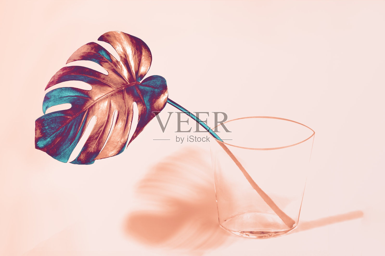 创造性的青铜与蓝色的怪物叶玻璃花瓶和它的阴影在时尚的粉红色背景。照片摄影图片