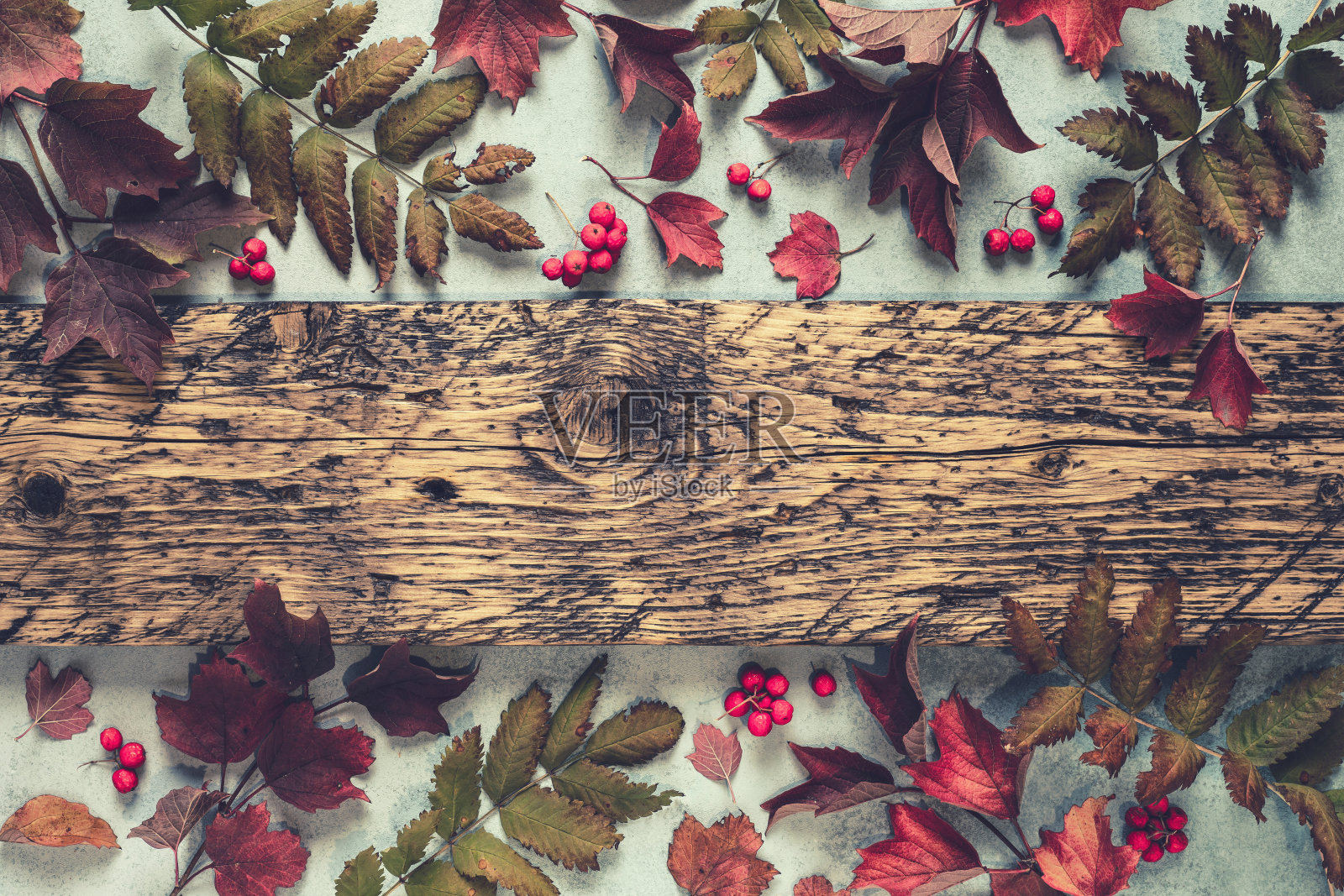 秋季背景为秋叶和空白文字，可用于感恩节或万圣节或其他秋季节日照片摄影图片