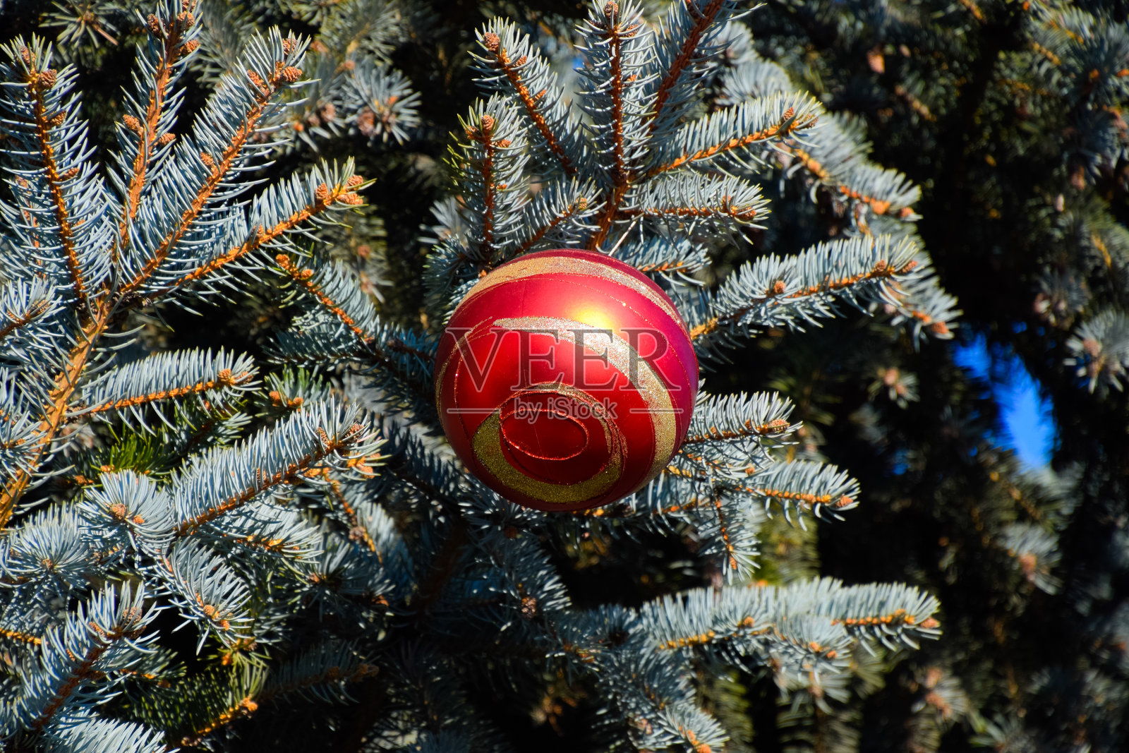 装饰新年树。圣诞树上的金箔、玩具、球和其他装饰品站在露天。照片摄影图片