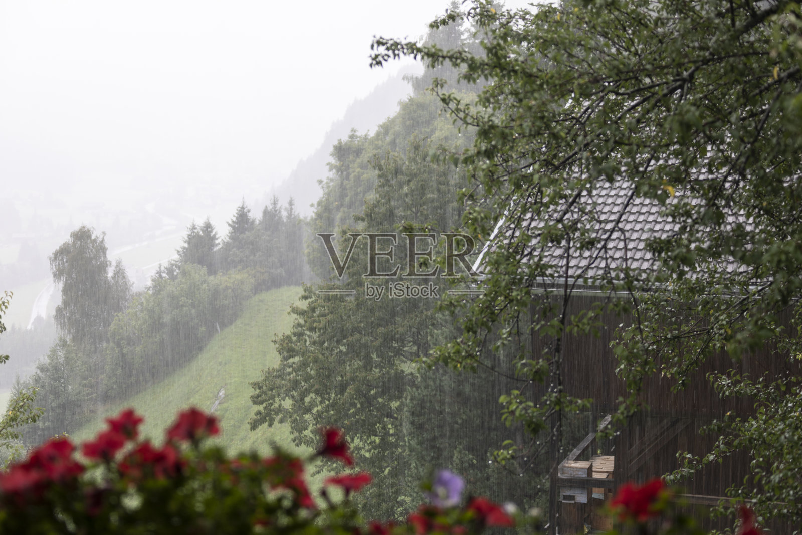 一个放松的雨天照片摄影图片
