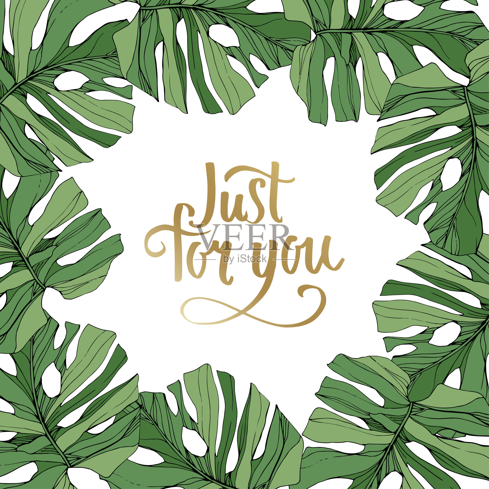 载体绿叶植物植物叶片。艺术雕刻墨水。棕榈滩树的叶子。边框装饰方形。插画图片素材