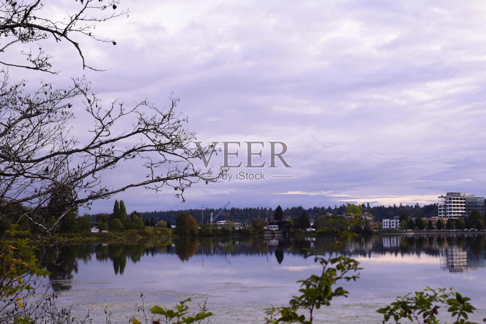 从国会湖看市区奥林匹亚照片摄影图片