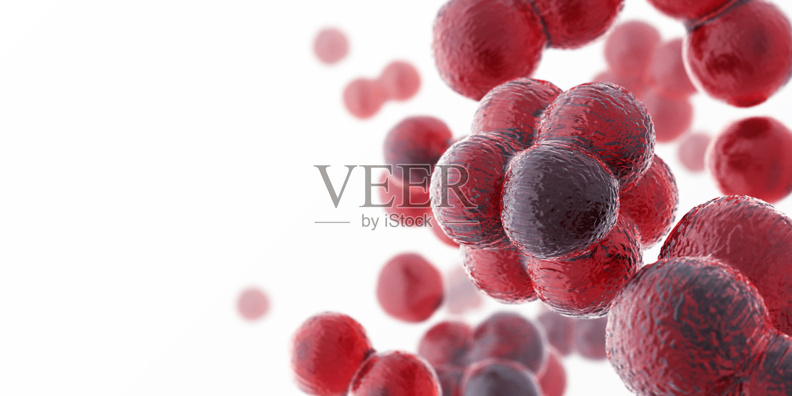 细胞照片摄影图片