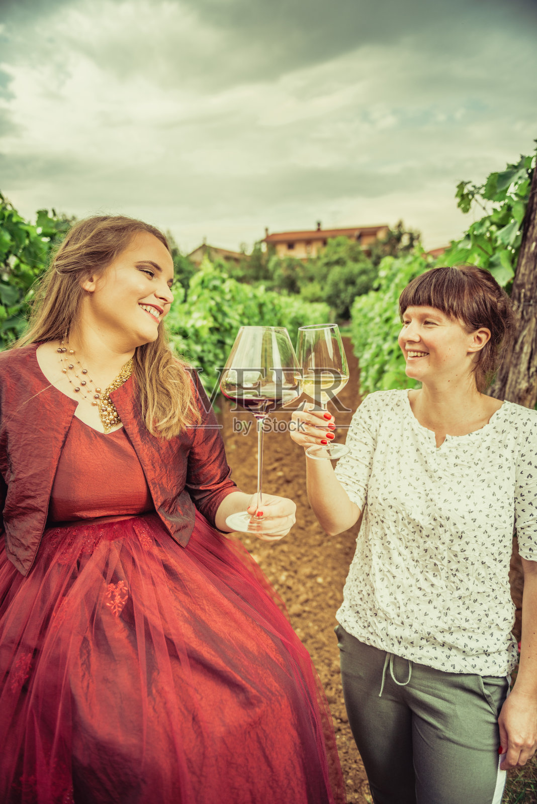 朋友在葡萄园里品酒照片摄影图片