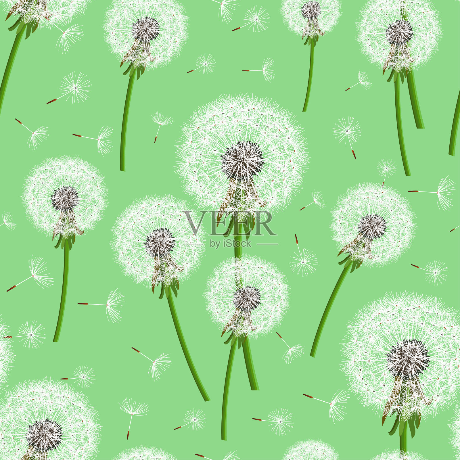 绿色无缝背景与蒲公英吹插画图片素材