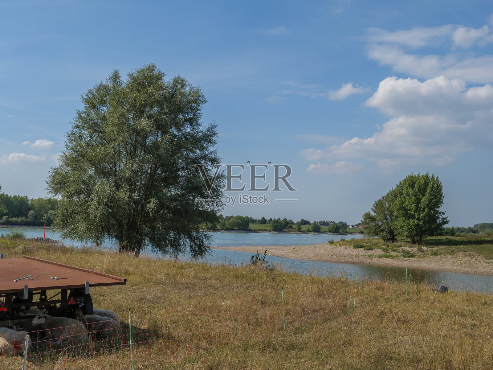 德国韦塞尔附近的莱茵河照片摄影图片
