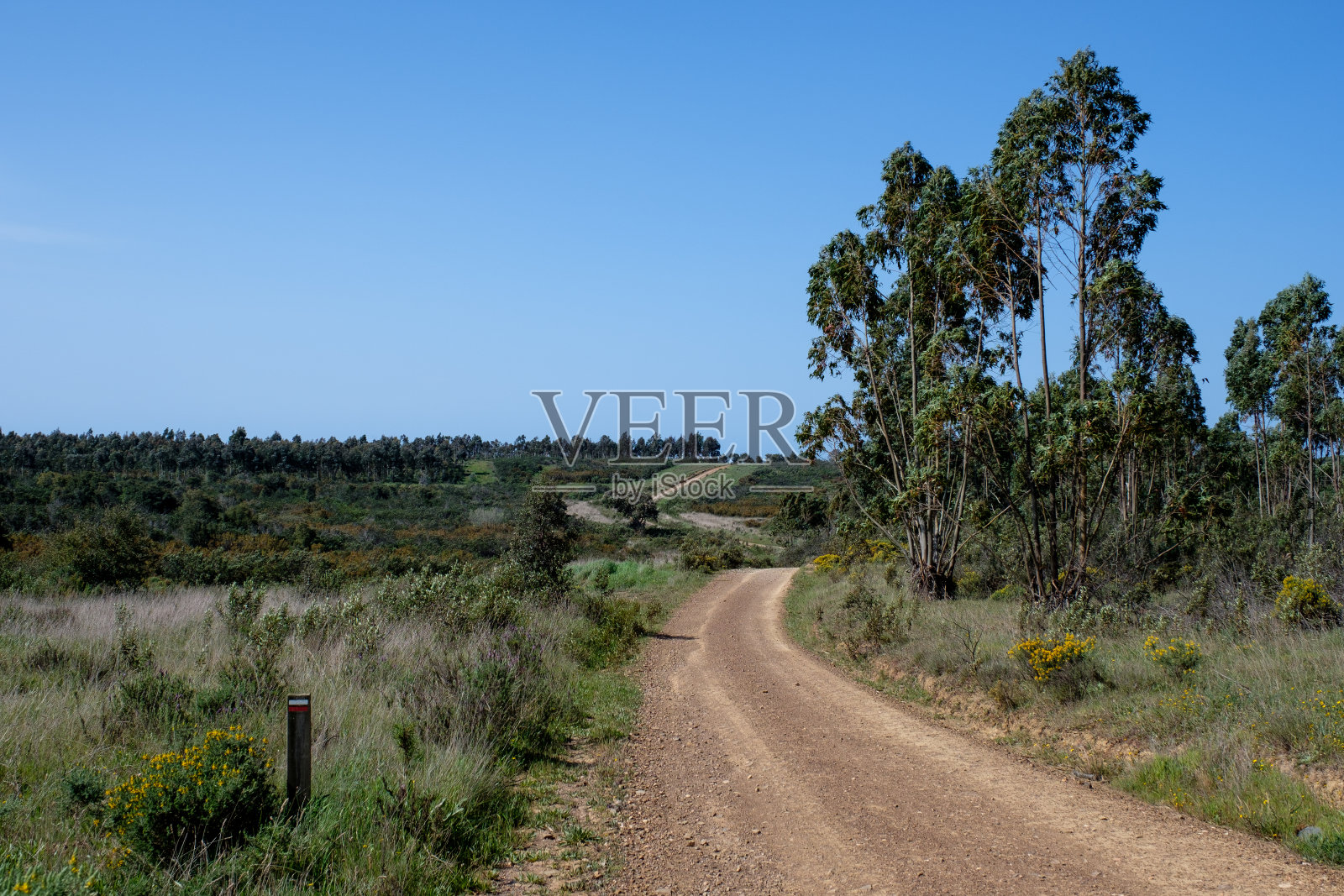 葡萄牙南部的“罗塔·维森蒂纳”(Rota Vicentina)徒步旅行小径(历史小径、钓鱼小径)照片摄影图片