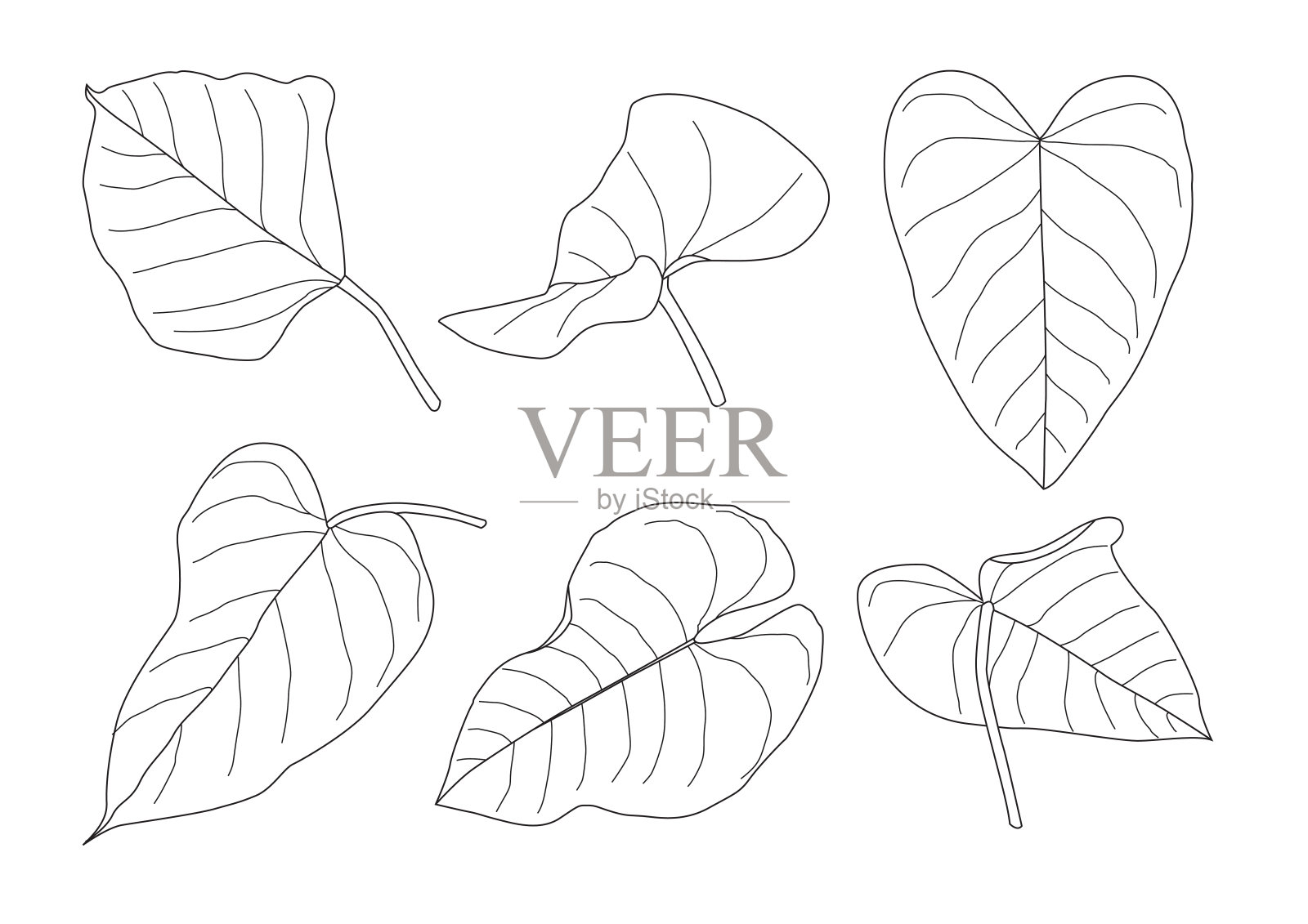 叶线单叶和叶图案黑色带彩色装饰在白色背景上的插图矢量插画图片素材