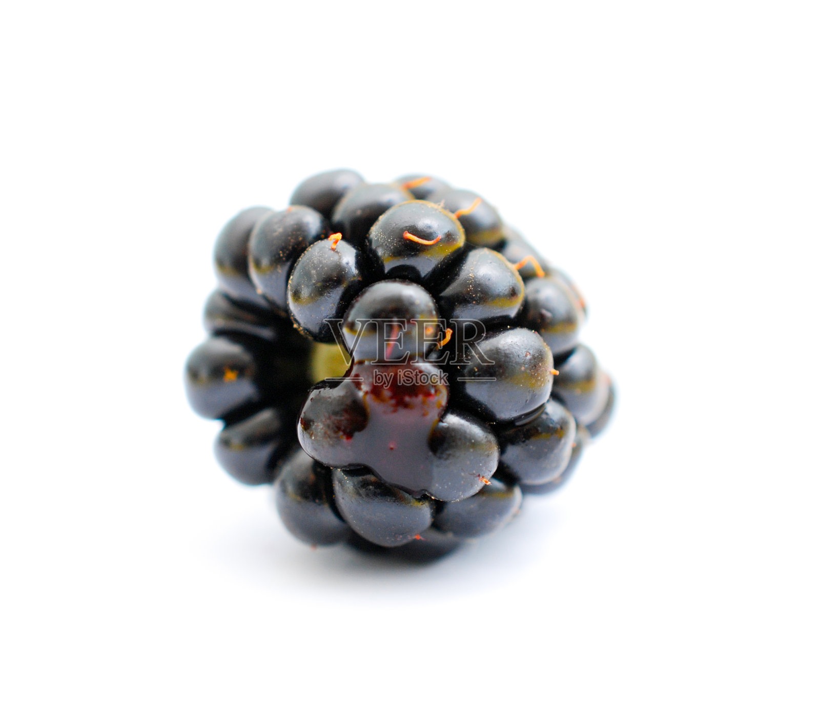 有机黑莓水果照片摄影图片