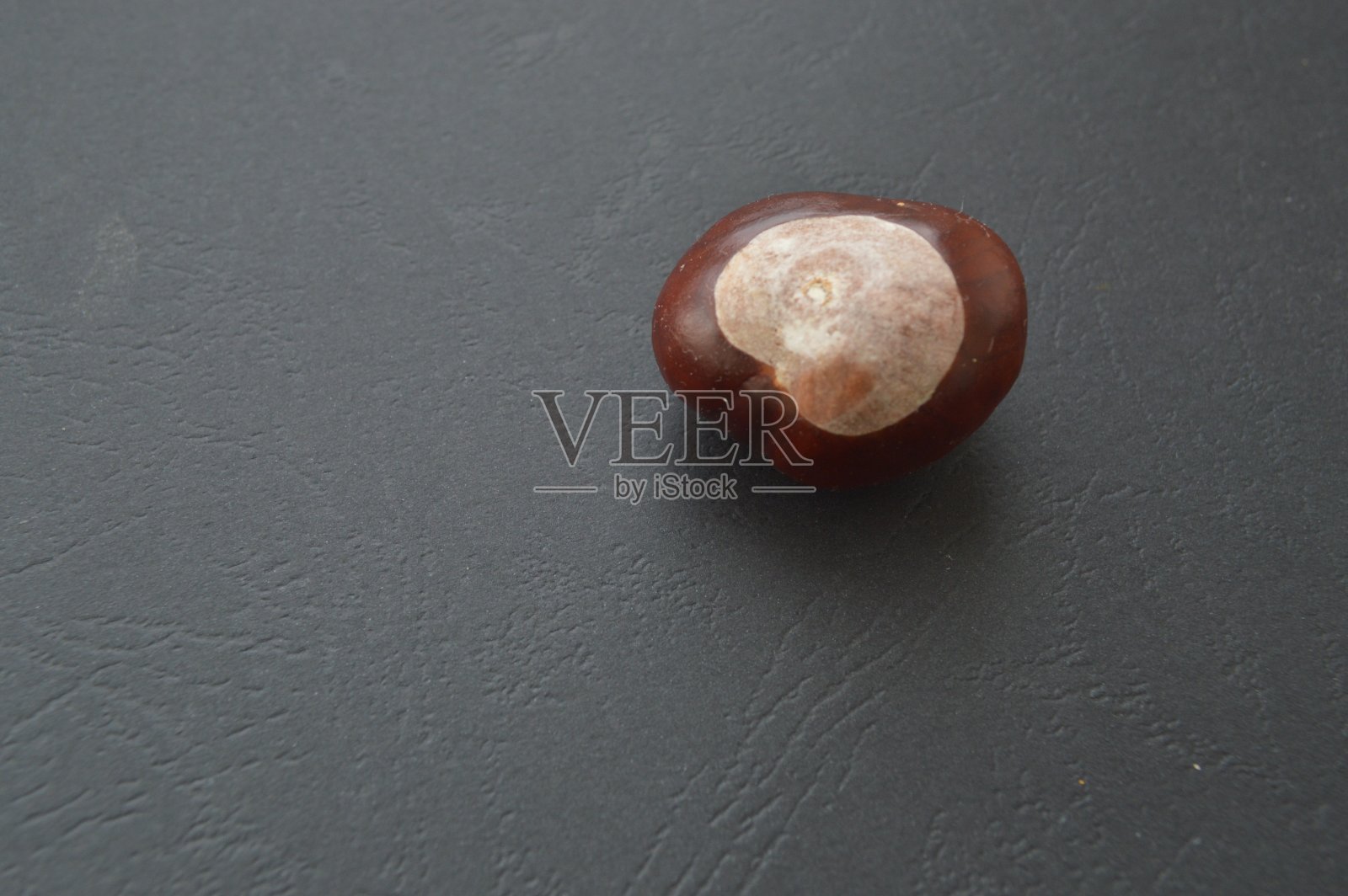 各种自然物体在一个黑色的光电话照片摄影图片