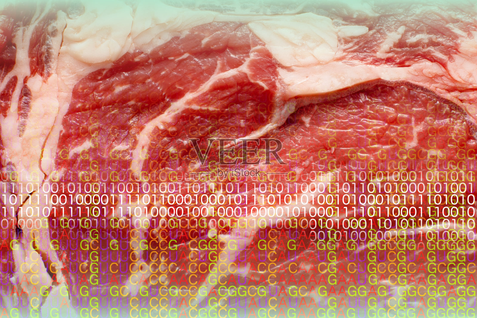 红牛排人造肉的信使rna编码和二进制编码照片摄影图片