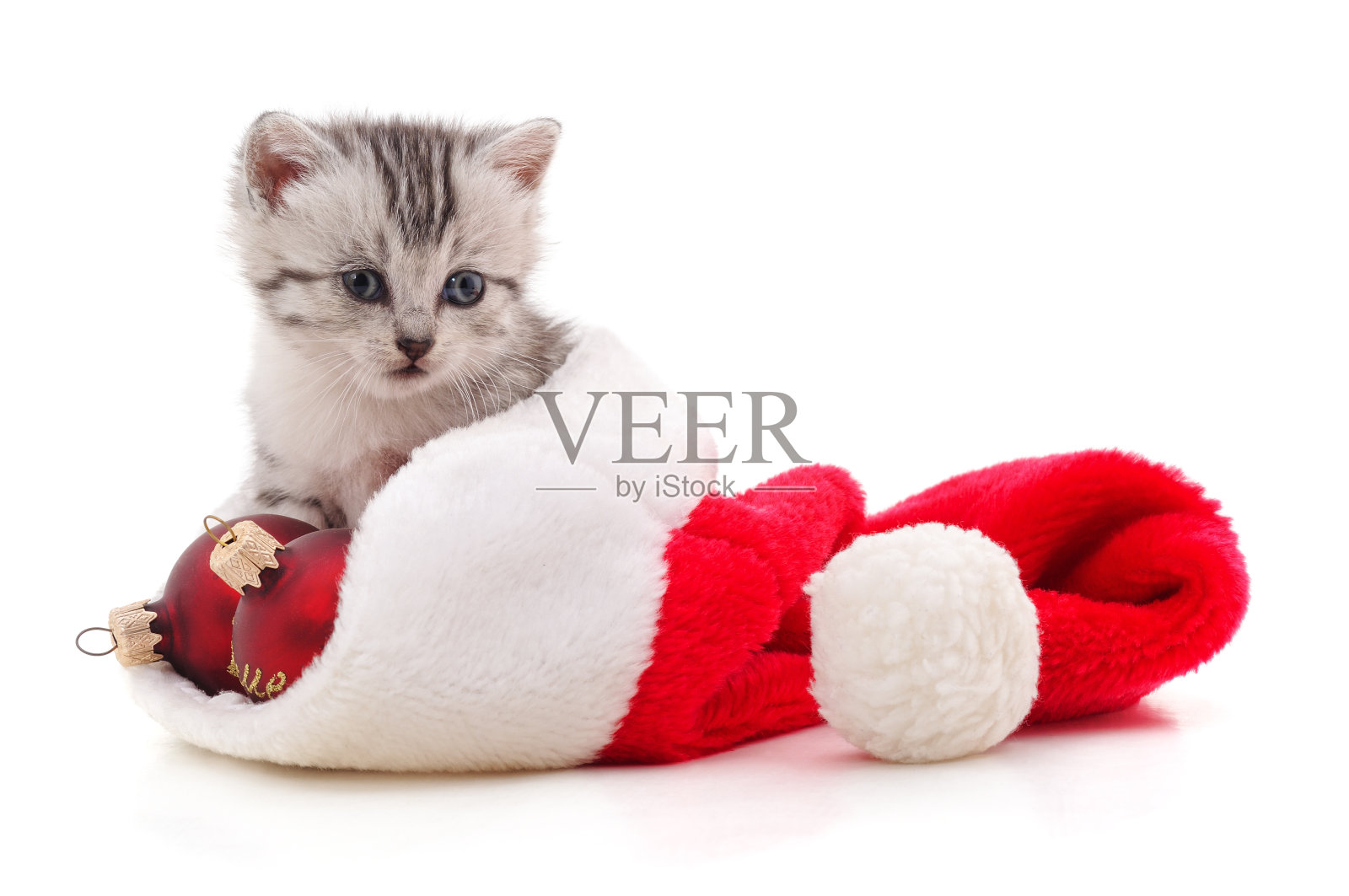 帽子里的小猫圣诞老人。照片摄影图片