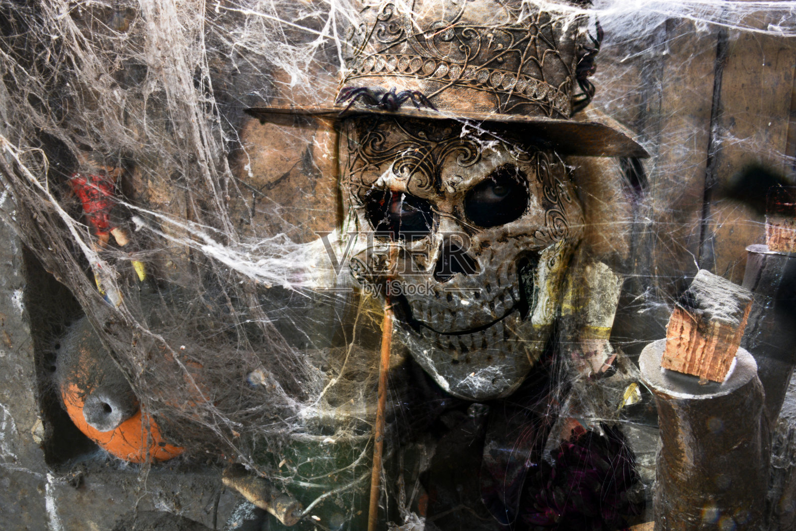 3d，被蜘蛛网困住的头骨照片摄影图片