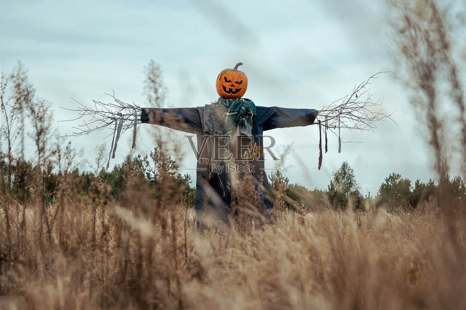 一个可怕的稻草人与万圣节南瓜头在阴天的田野。万圣节背景，复制空间。照片摄影图片