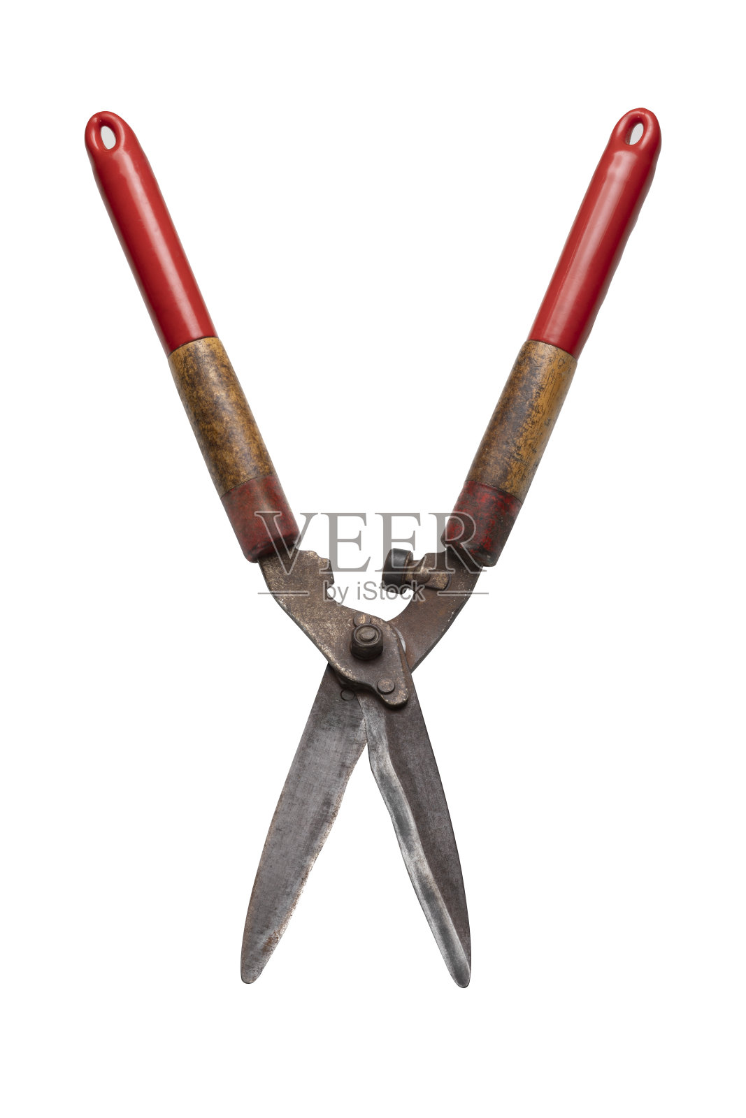 白色背景上的草剪刀照片摄影图片