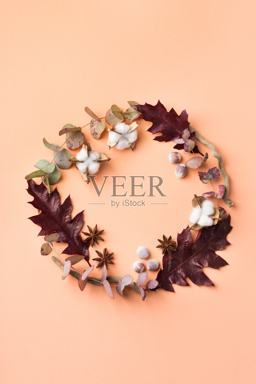 创意秋天秋天的感恩节作文装饰干树叶照片摄影图片