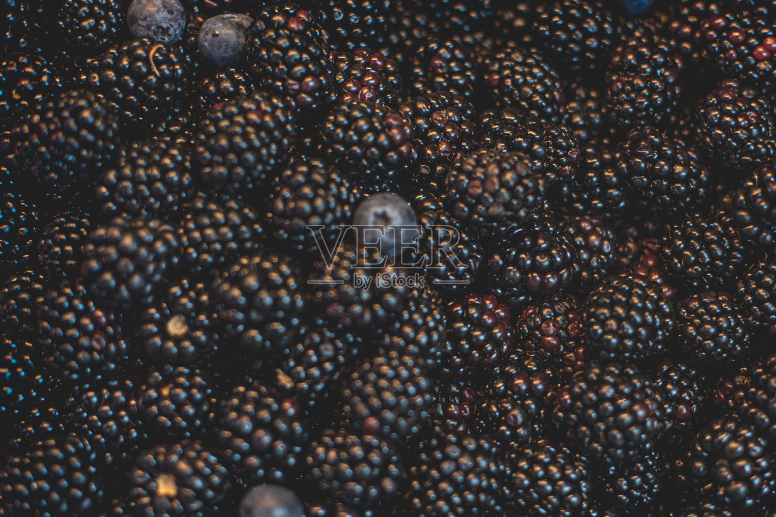 西班牙自然和新鲜的美食产品在市场上照片摄影图片