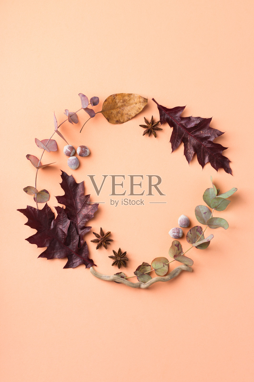 创意秋天秋天的感恩节作文装饰干树叶照片摄影图片