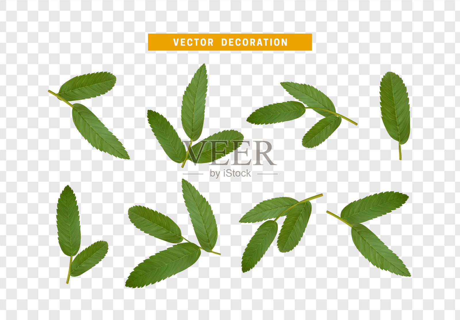 树上的叶子。一组现实的简单的花瓣和叶子。矢量图插画图片素材