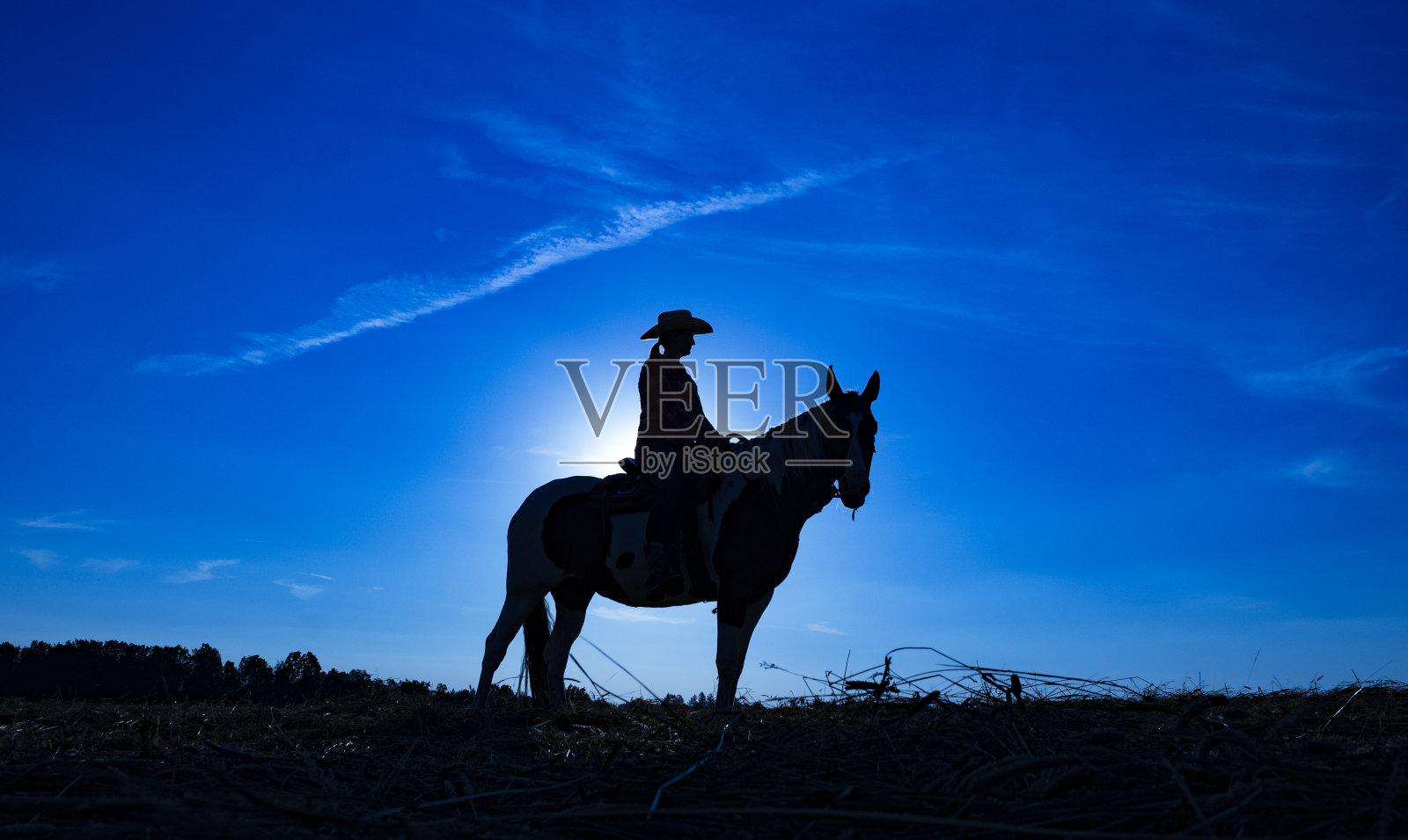 蓝色日出时女牛仔骑在马上的剪影(3)照片摄影图片