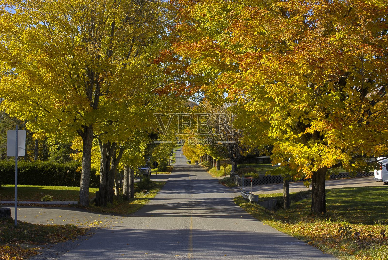秋天的乡间小路照片摄影图片