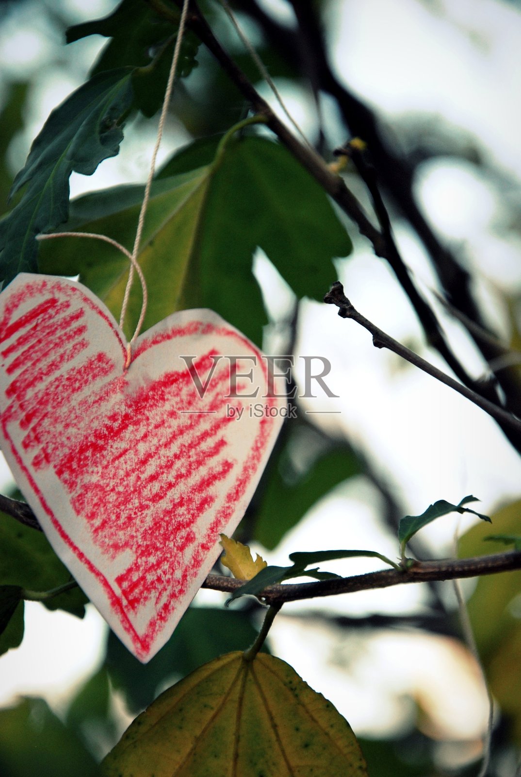 弦上的心照片摄影图片