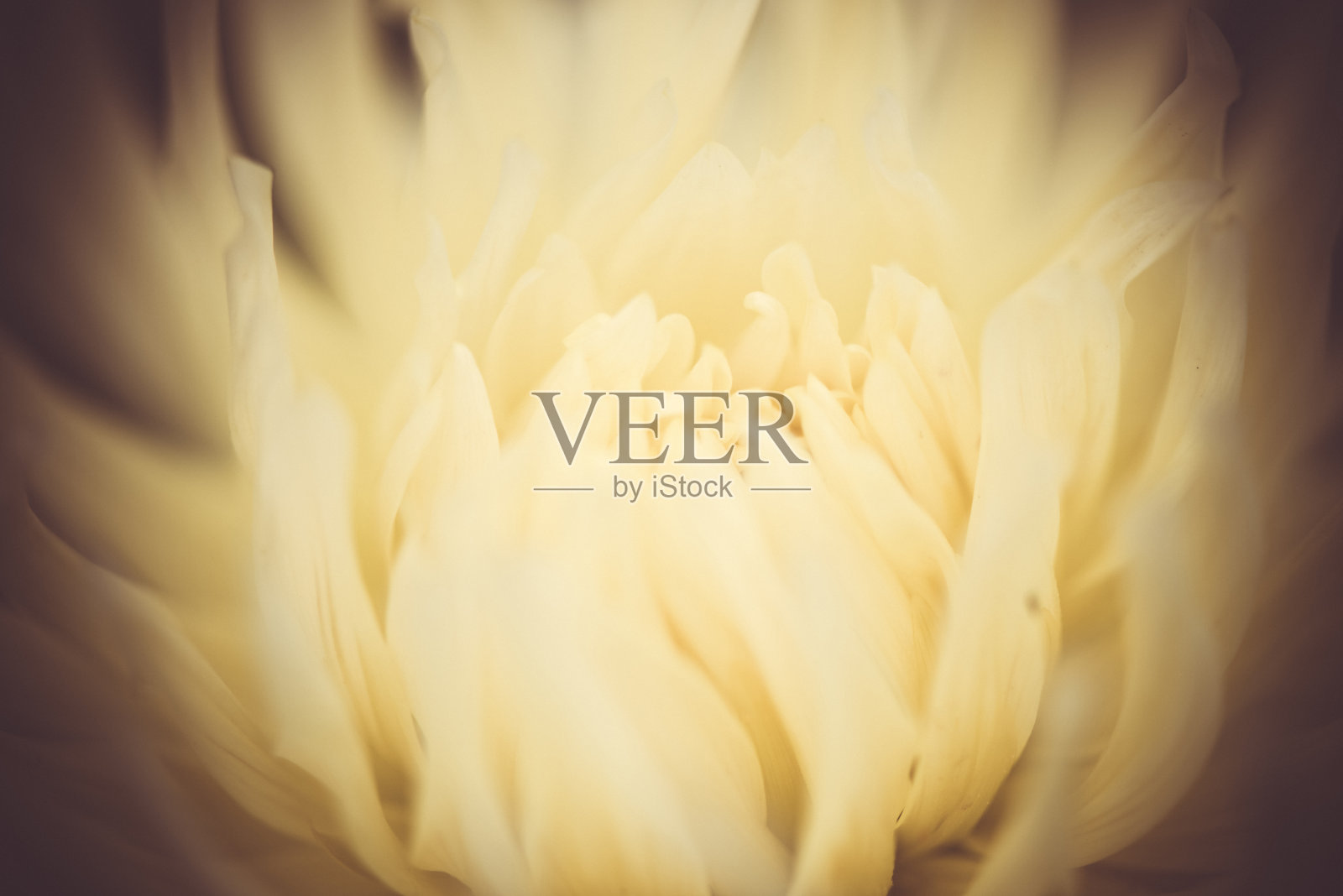 抽象的背景。微距摄影。美术。照片摄影图片