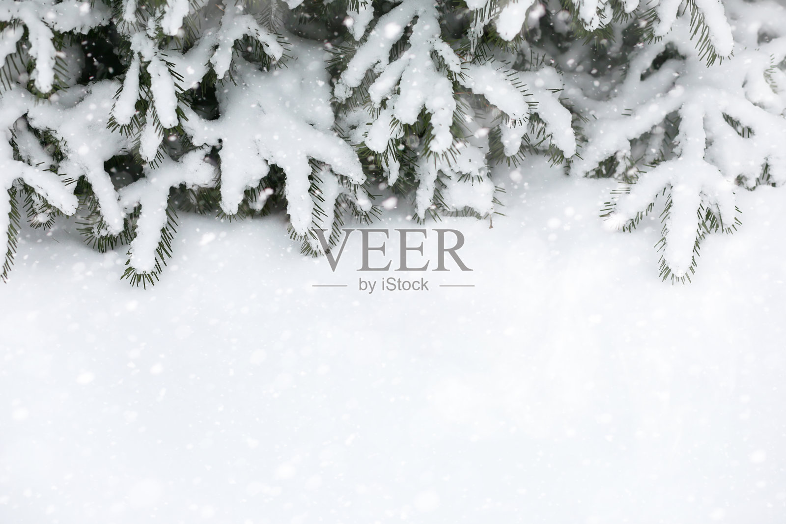 乡间田野和道路的冬季景观照片摄影图片