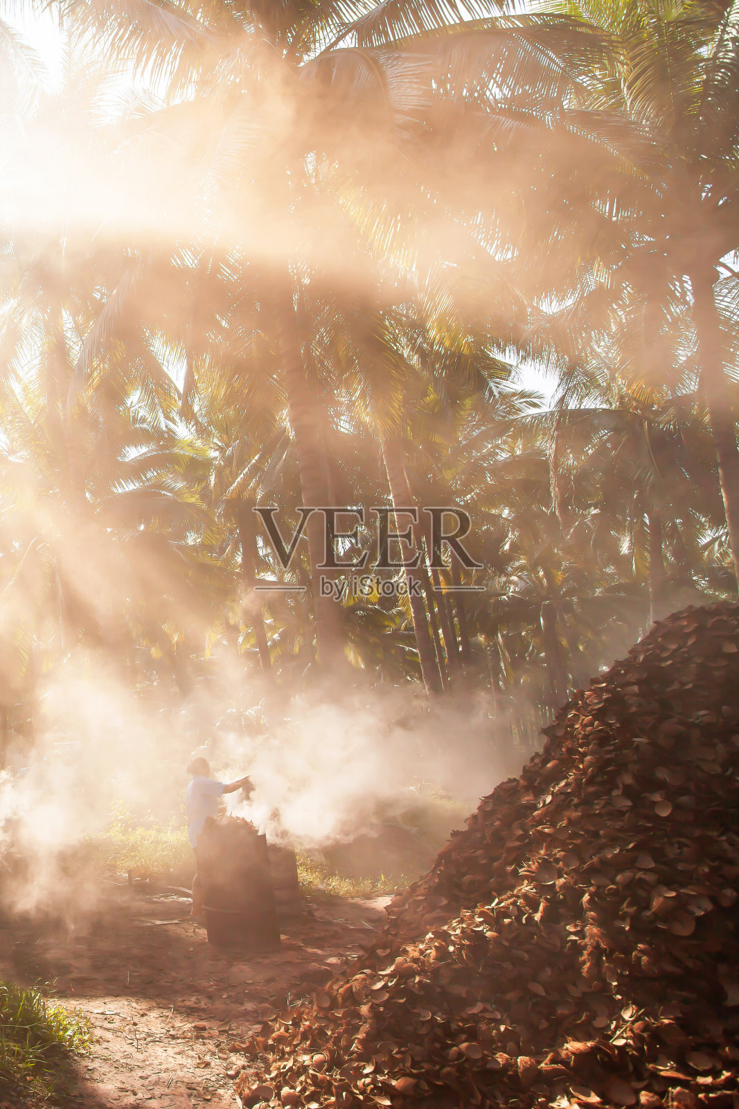 一位亚洲女园丁正在燃烧椰子壳木炭。照片摄影图片