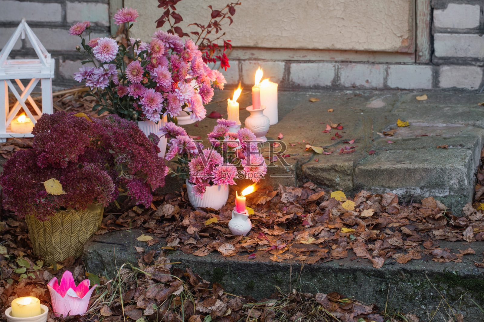 秋日花园里盛开着燃着蜡烛的菊花照片摄影图片