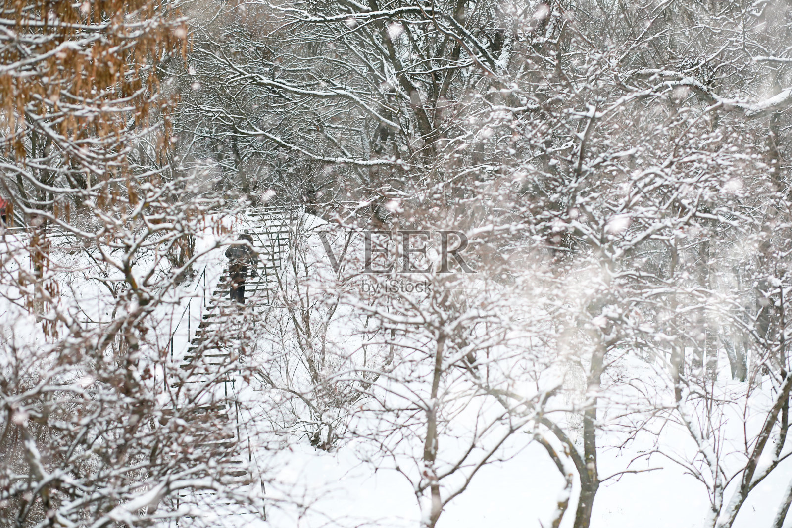 乡间田野和道路的冬季景观照片摄影图片