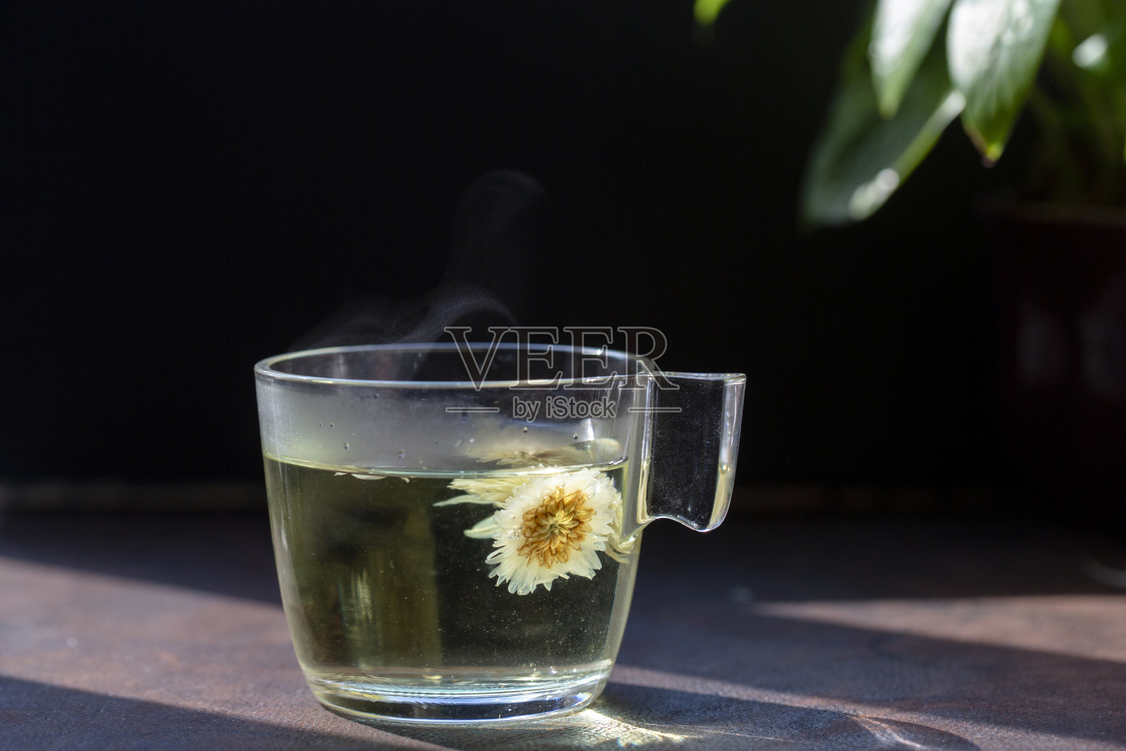 菊花茶照片摄影图片