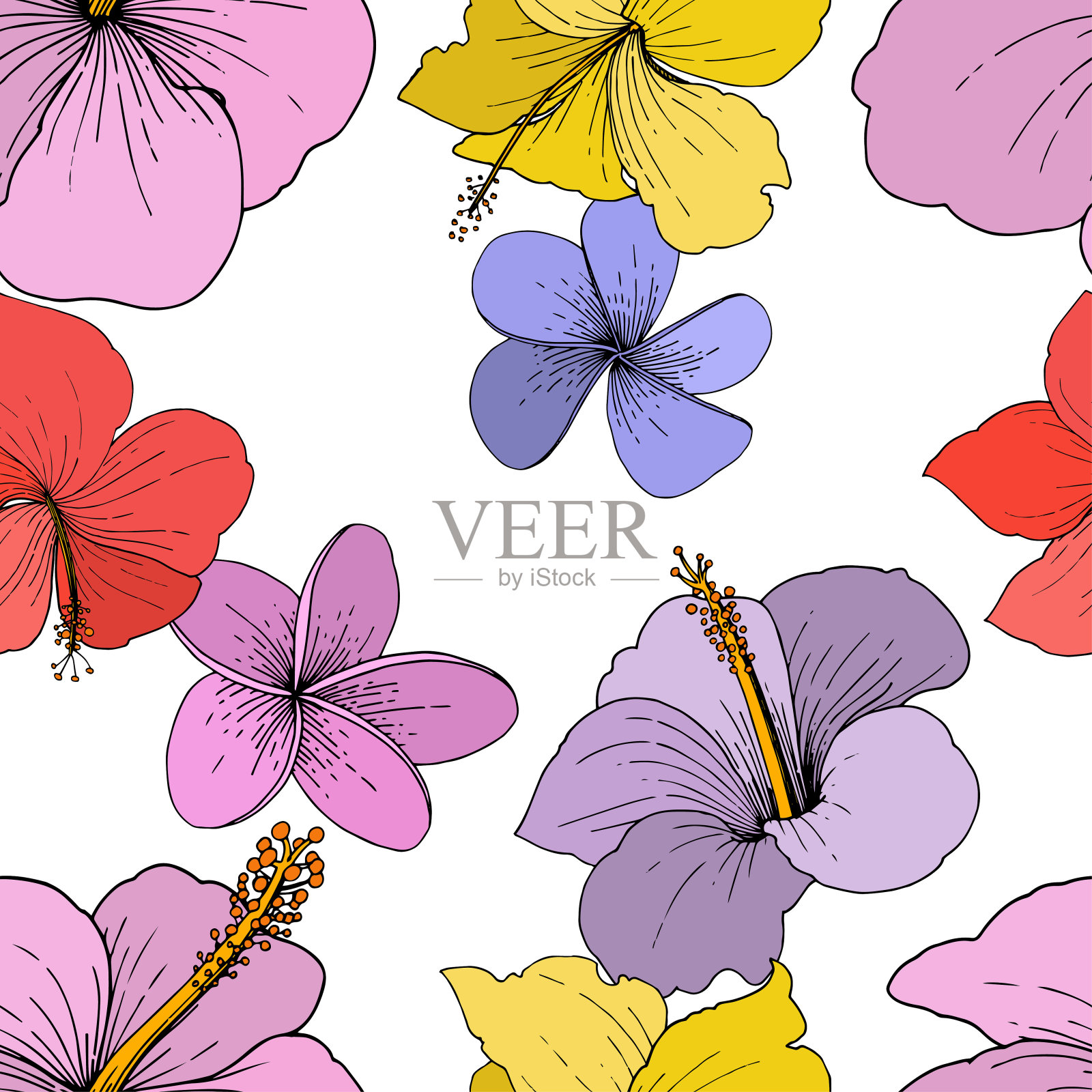 载体芙蓉花热带花卉。在白色背景上雕刻的水墨艺术。无缝的背景图案。插画图片素材