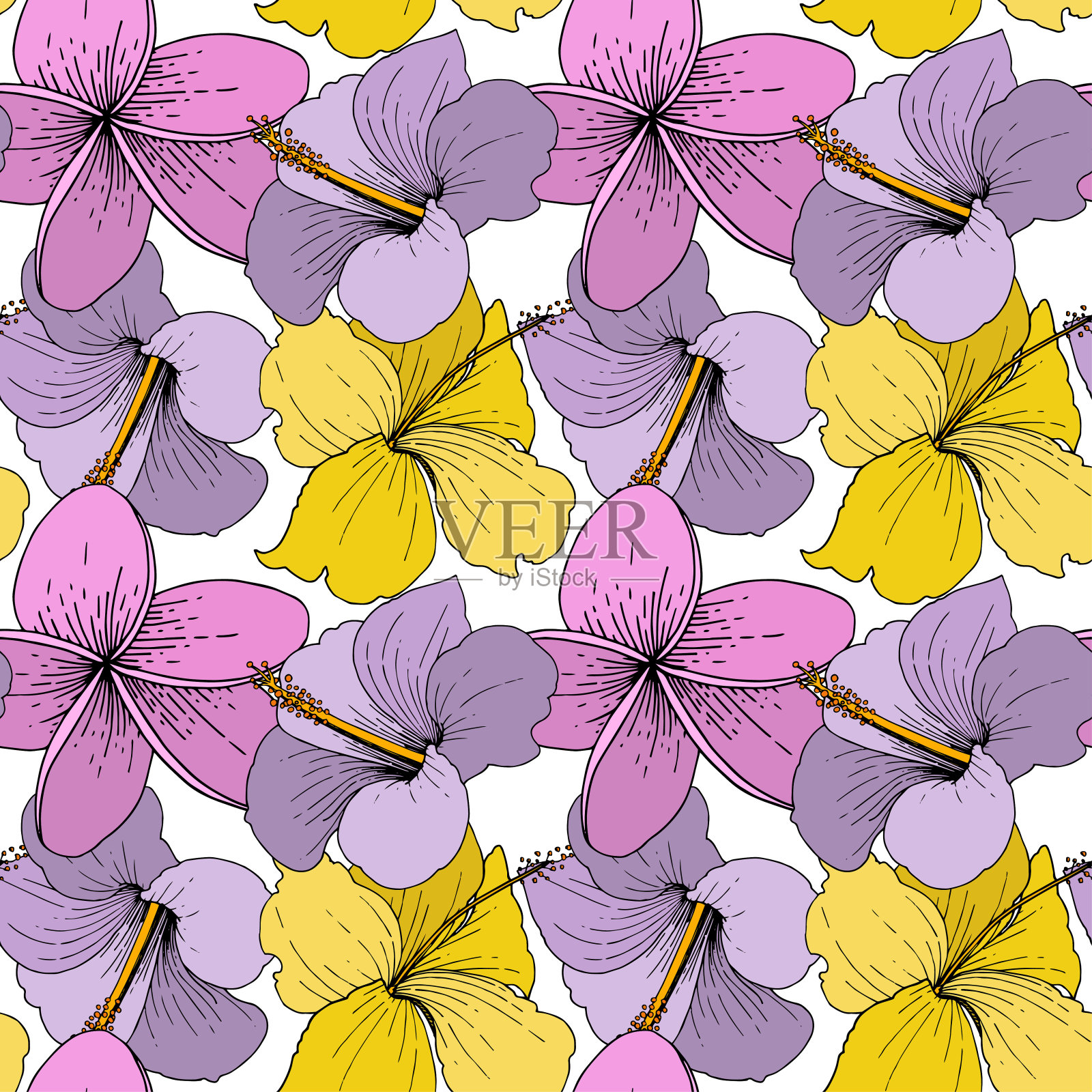 载体芙蓉花热带花卉。在白色背景上雕刻的水墨艺术。无缝的背景图案。插画图片素材