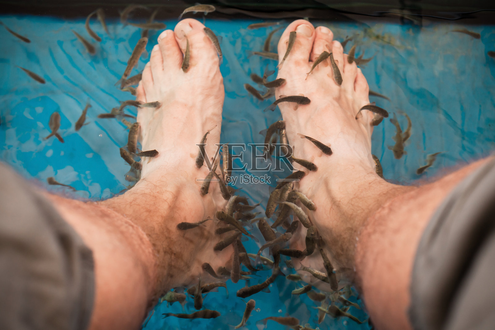 医生鱼洗男脚照片摄影图片
