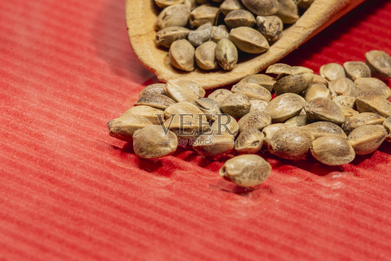 红色背景上的大麻种子，大麻种子与拷贝空间照片摄影图片