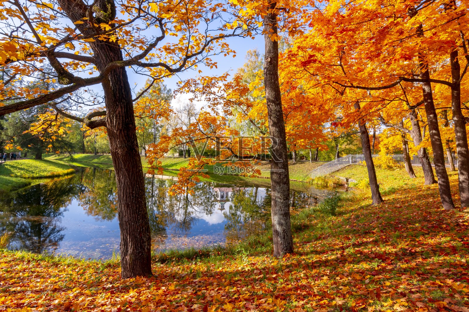 秋天的凯瑟琳公园，普希金(Tsarskoe Selo)，圣彼得堡，俄罗斯照片摄影图片