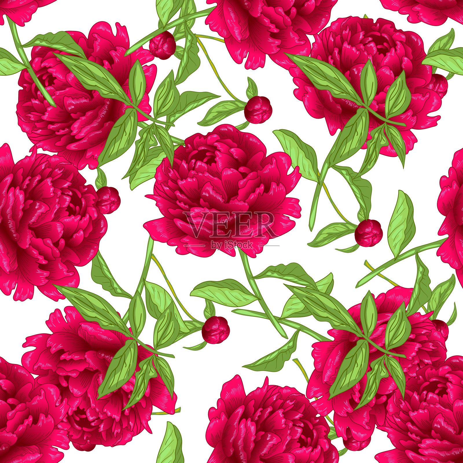 Vector植物红牡丹。艺术雕刻墨水。无缝的背景图案。织物墙纸印花纹理。插画图片素材