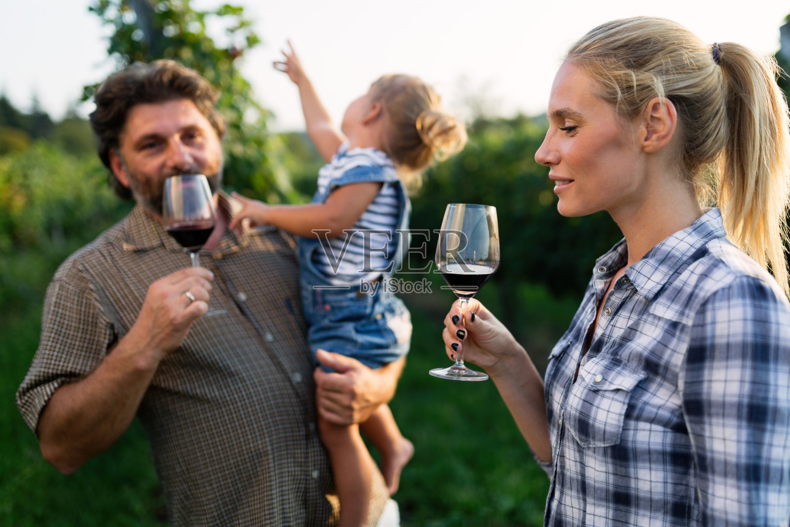 在葡萄园里品尝红酒的人们照片摄影图片