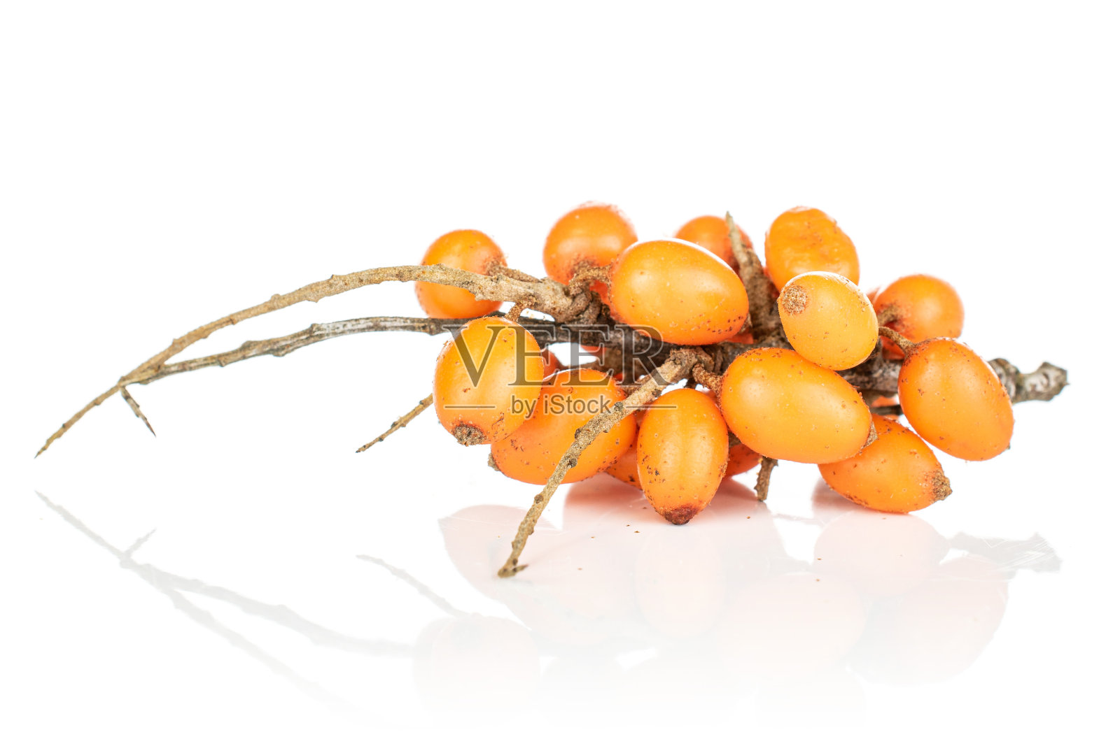 沙棘果孤立在白色上照片摄影图片